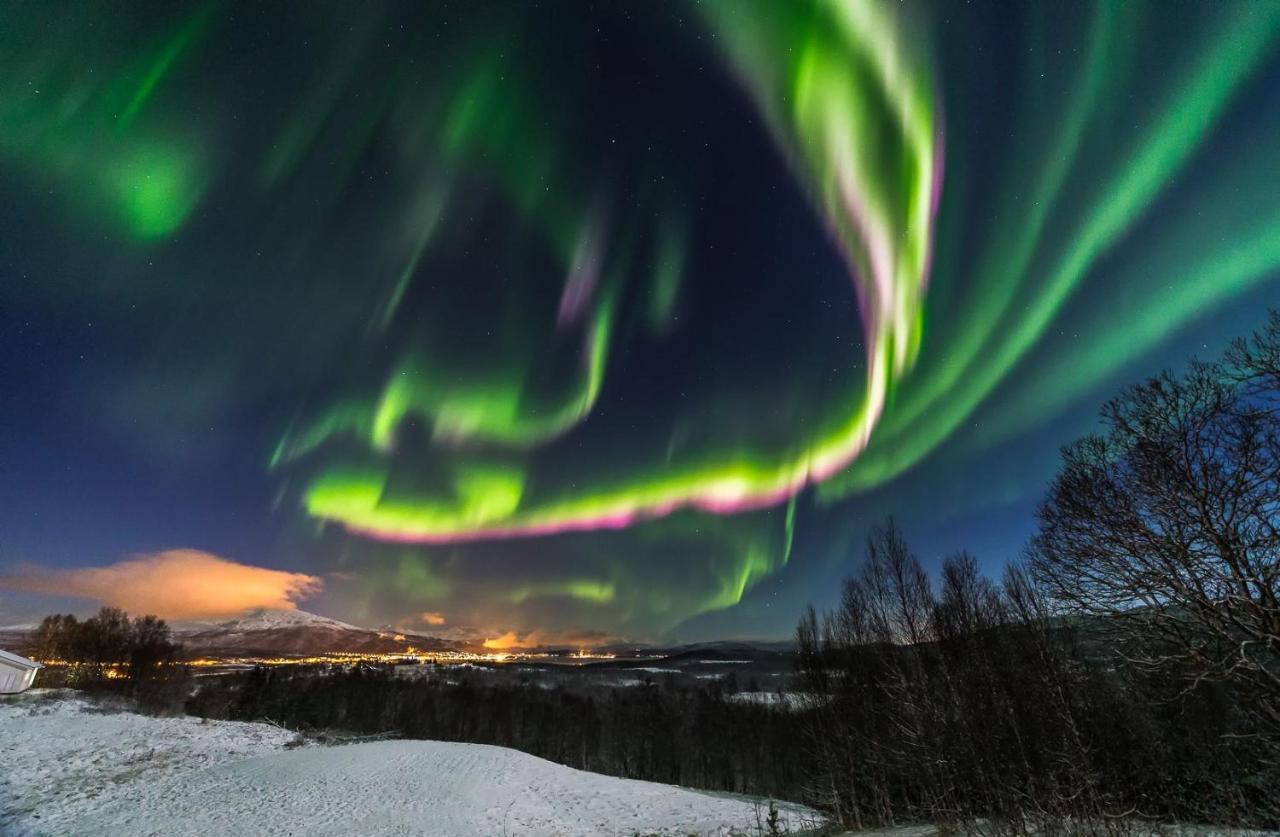 Aurora Borealis Observatory Silsand Exteriör bild